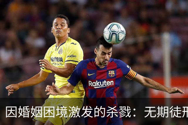 因婚姻困境激发的杀戮：无期徒刑背后的悲剧与责任